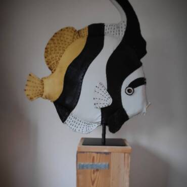 MAANVIS Pterophyllum