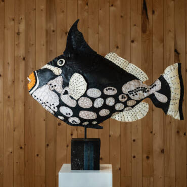 LUIPAARDTREKKERVIS Balistidae